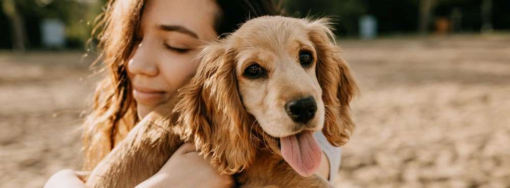 Dame og hund: Foto: Shutterstock
